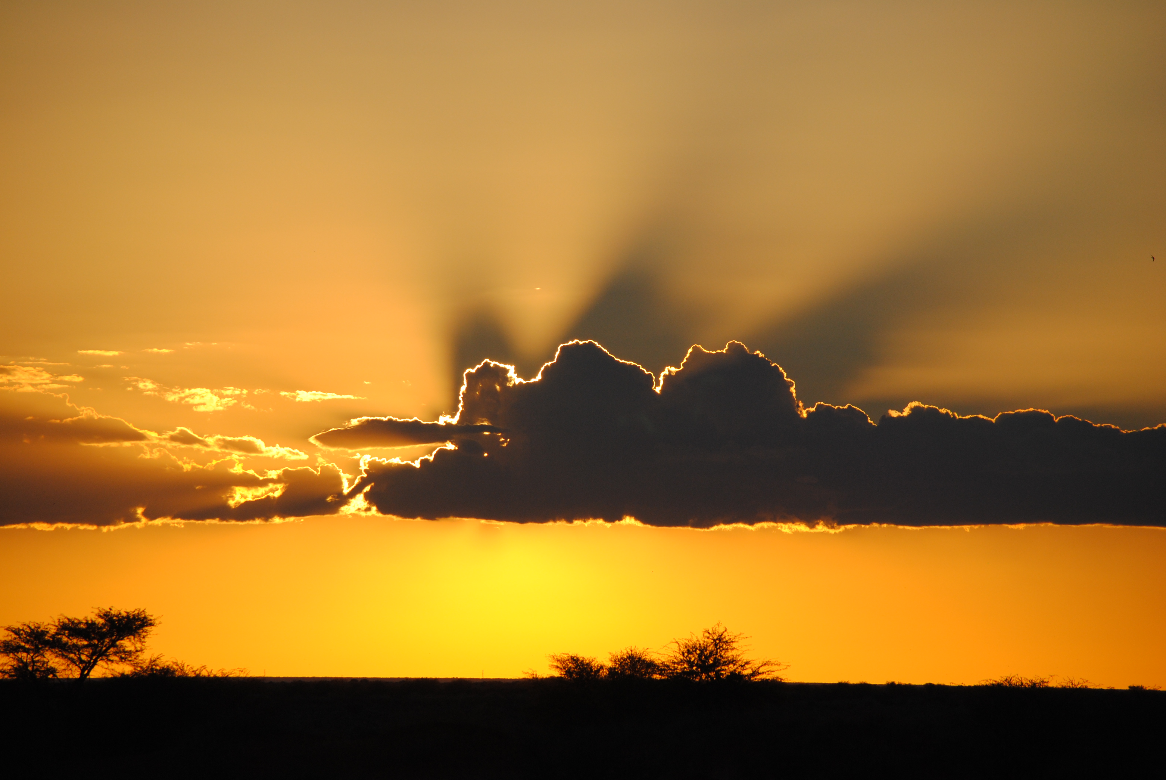 Namibia – eine Rückschau