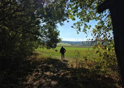 Wanderweg bei Gehlert, Westerwald