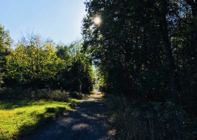 Spazierweg im Westerwald